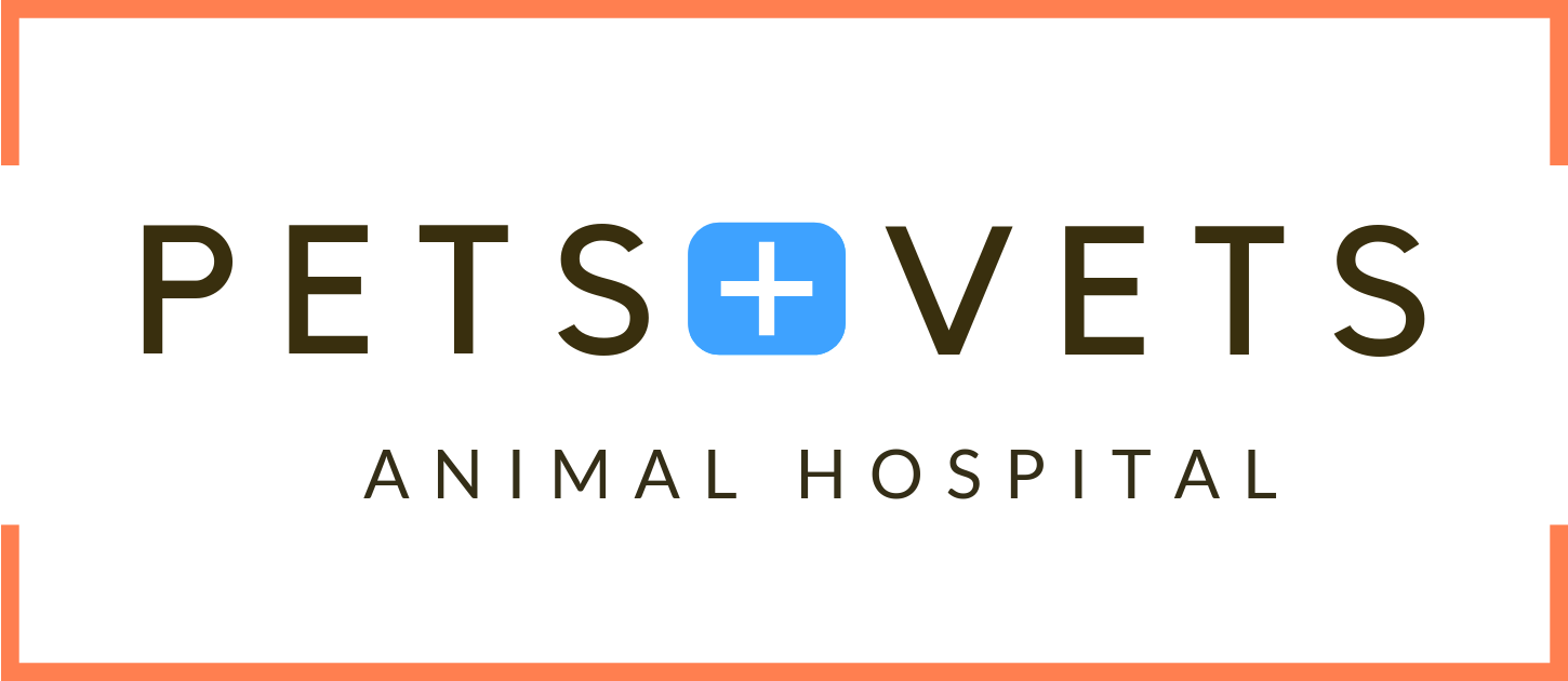 pets and vets animal hospital