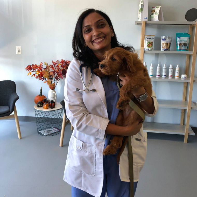 Pets and Vets Animal Hospital Aldie Team | Veterinary Hospital Stone Ridge  South Riding Chantilly Dulles Landing Tall Cedars Route 50 Lee Jackson  Highway Ashburn Herndon Centerville Fiarfax Loudoun County